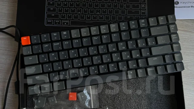 ����������. ����