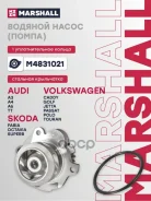 ����� ������� Marshall ���. M4831021 M4831021 ����