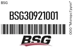 ��������� FORD Focus ���� ������������� ������ BSG 30921001 BSG30921001 ����