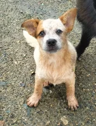 ������������� �����. ����