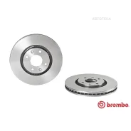 ���� ��������� �������� ������������� (�������� 2��) Brembo 09876010 Brembo 09876010 09876010 ����