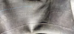 ������ ��������. ����
