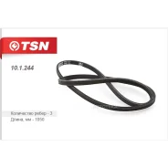������ ������������ TSN 101244 TSN 101244 101244 ����