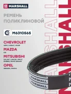 ������ ������������ (���) Chevrolet AVEO II, Chevrolet Cobalt II, Chevrolet Cruze I, Mazda 626, MITS Marshall ���. M6310565 M6310565 ����