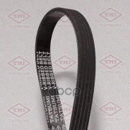 ������ ��������� /������������ Tatsumi /5PK970; TFB1173; 5PK975 AD05R970 5PK970 Tatsumi ���. TFB1173 TFB1173 ����