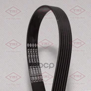 ������ ������������ 6PK1203 TFB1182* Tatsumi (������) 6PK1203 Tatsumi ���. TFB1182 TFB1182 ����