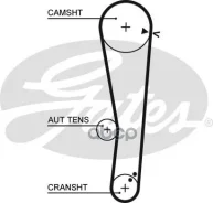 ������ ��� Gates ���. 5568XS 5568XS ����