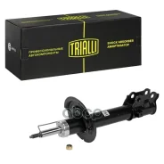 ����������� (������) ���. | ����� ��� | Trialli ���. AG17151 AG17151 ����