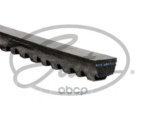 �������� ������ � ����������� ����� Gates ���. 6223MC 6223MC ����