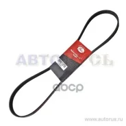 ������ ������������ OPEL Astra G 00-/ Toyota Carina/ Corolla/ Caldina 2C/3C 5PK1210 Gates ���. 5PK1210 5PK1210 ����