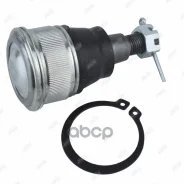 ������� ����� /������ /����� Jikiu ��� Honda Civic CR-V Stream EDIX Element HO EU# ES# RD4 RN1 BE# YH2; JB28272; (TG-51220-S9A-982 TG-51220S5A003 KBJ1...