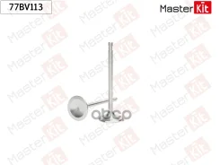 ������ �������� VAG BVY, BVZ MasterKit ���. 77BV113 77BV113 ����