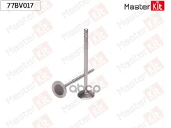 ������ �������� 77BV017 ����