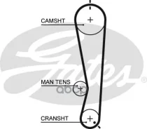������ ��� Gates ���. 5591XS 5591XS ����