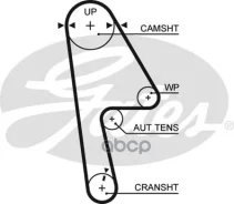 ������ ��� Honda Civic D17A 01- 0,155 Gates ���. 5593XS 104x22 5593XS ����