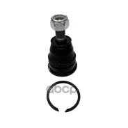 ����� ������� CTR CB0334 (CBN-74) CTR ���. CB0334 CB0334 ����
