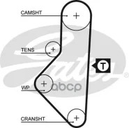������ �������� 5050XS 113 x 17 (8597-15050) Gates ���. 5050XS 5050XS ����