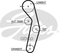 �������� ������ Gates ���. 5445 XS 5445XS ����