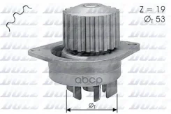 ������� �����, ���������� ��������� Dolz ���. C113 C113 ����