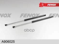 ���� ������� Nissan X-Trail T30 03-07 Fenox ���. A906025 A906025 ����
