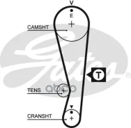 ������ ��� Gates 5318XS (T212) Gates ���. 5318XS 5318XS ����