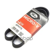 ������ ������������ ALFA Romeo 155 2.5 V6 92-97/ Citroen C2 1.4HD 03-, C3 1.4HD 02-, C4 1.6HD 04-/ FORD Focus 1.6TD 03- 6PK975 Gates ���. 6PK975 XF683...