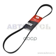������ ������������ ����� ��� Saber, OPEL Astra G 1.7TD 00-, Combo 00-/ Volvo 850 -96, S70, V70 6PK1250 Gates ���. 6PK1250 XF 68385 6PK1250 ����