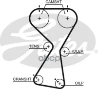 ������ ��� Gates 5534XS MD331076, �MD348733, �MD353700, �MD182292 Gates ���. 5534XS 5534XS ����