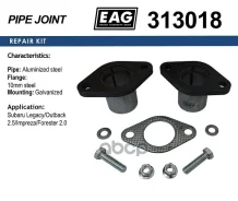 ��������� ���������� Subaru Legacy/Outback 2.5/Impreza/Forester 2.0 EAG ���. 313018 313018 ����