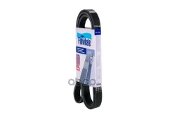 ������ ��������� DIZ Finwhale ���. BP6PK1708 BP6PK1708 Finwhale BP6PK1708 ����