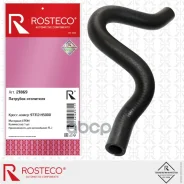 �������� ���������. 973125000 Rosteco ���. 21869 21869 Rosteco 21869 ����