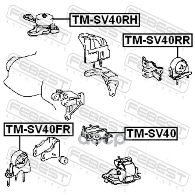 ������� ��������� | ����� ����/��� | TMSV40FR ����