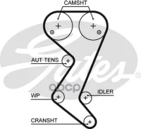 �������� ������ ������� ��� PowerGrip� Gates ���. 5608XS 5608XS ����