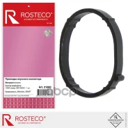 ��������� ���������� ��������� Rosteco ���. 21060 21060 Rosteco 21060 ����
