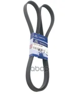 ������ ������������ 6PK1780 Hyundai-KIA ���. 252122E300 252122E300 ����