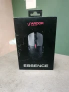 ���� ������� ������������. ����