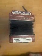 �����. ����