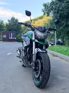 Regulmoto T-Leopard 300. 300����. ��., ��������, ���������, ������ �� �� ����