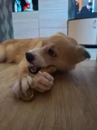 ����� � ������ ���� ����