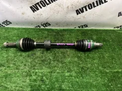 ������ Toyota bB 43420B1031 QNC20, �������� ����� 43420B1031 ����