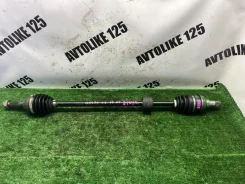 ������ Toyota bB 43410B1061 QNC20, �������� ������ 43410B1061 ����