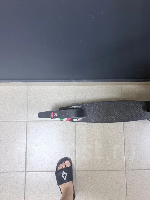 ��������. ����