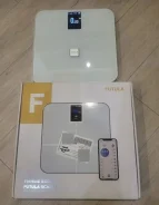 ���� ���������. ����