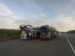 ��������. ����