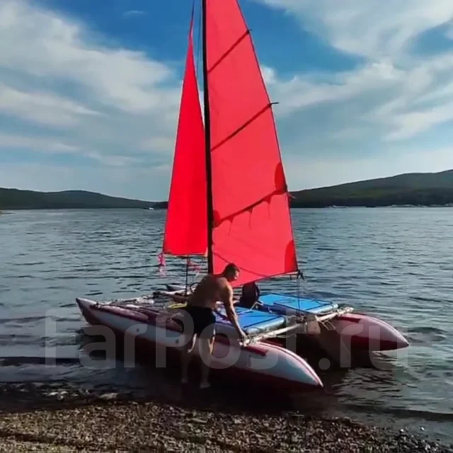 �������� ���������. ����� 6��., 2024 ��� ����