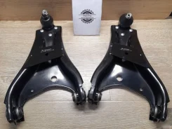 ����� Renault Duster QL3386, �������� QL3386 ����