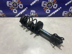 ������ Nissan Bluebird Sylphy 543024M486 QG10, �������� ������ 543024M486 ����