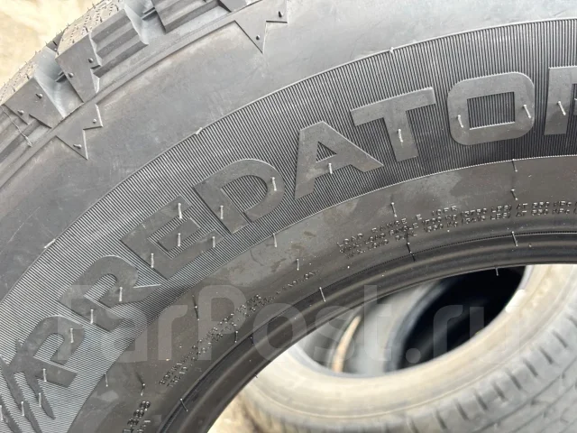 Predator New Mutant Arctic. ������, ����������, 2026 ���, ����� ����