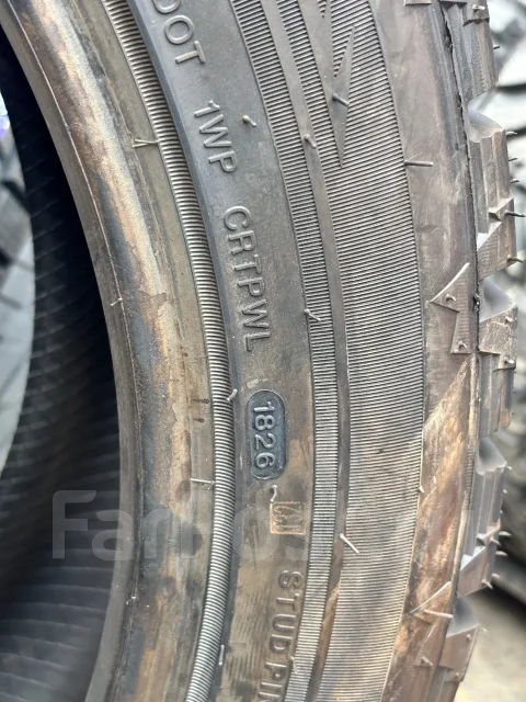 Predator New Mutant Arctic. ������, ����������, 2026 ���, ����� ����