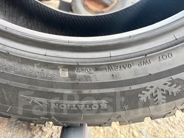 Predator New Mutant Arctic. ������, ����������, 2026 ���, ����� ����